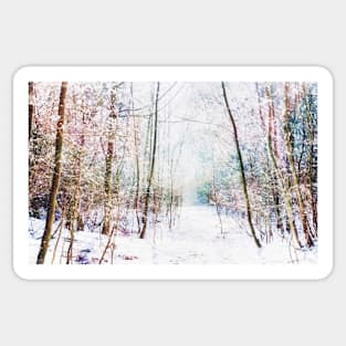 Winter Wonder Woodland Sticker